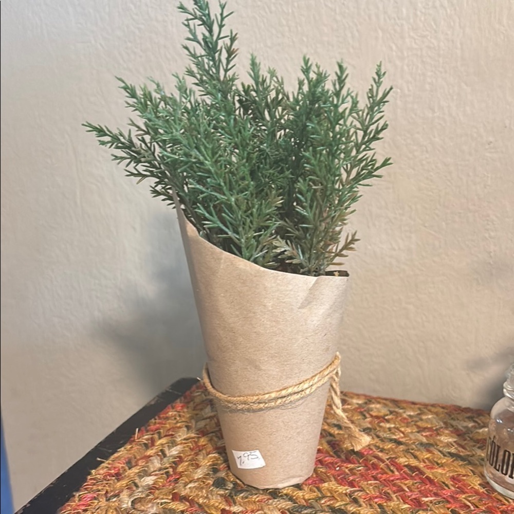 Green Faux Plant in Tan Paper Wrap